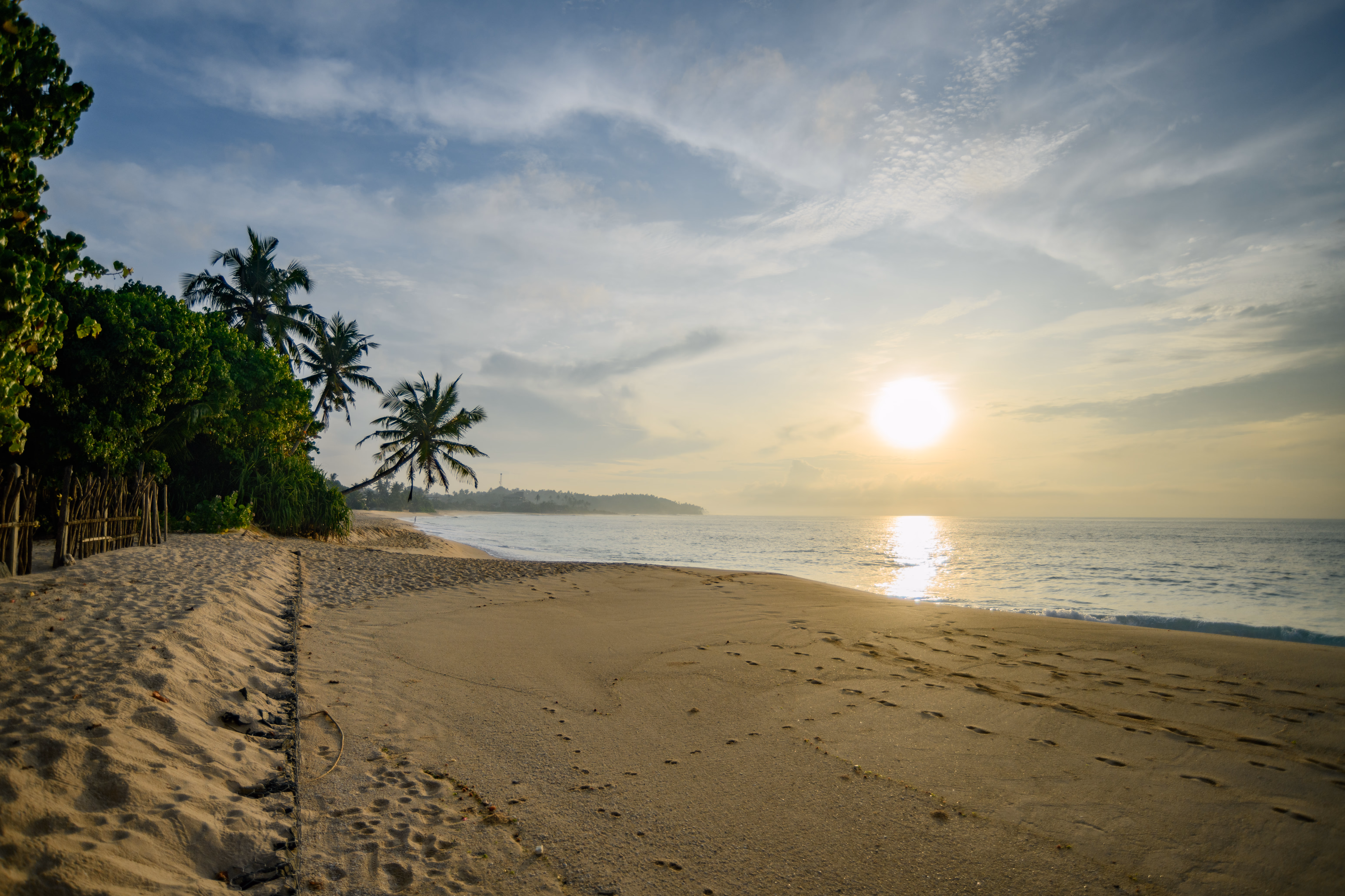 Exterior view of Magnolia House showing the architecture and garden.