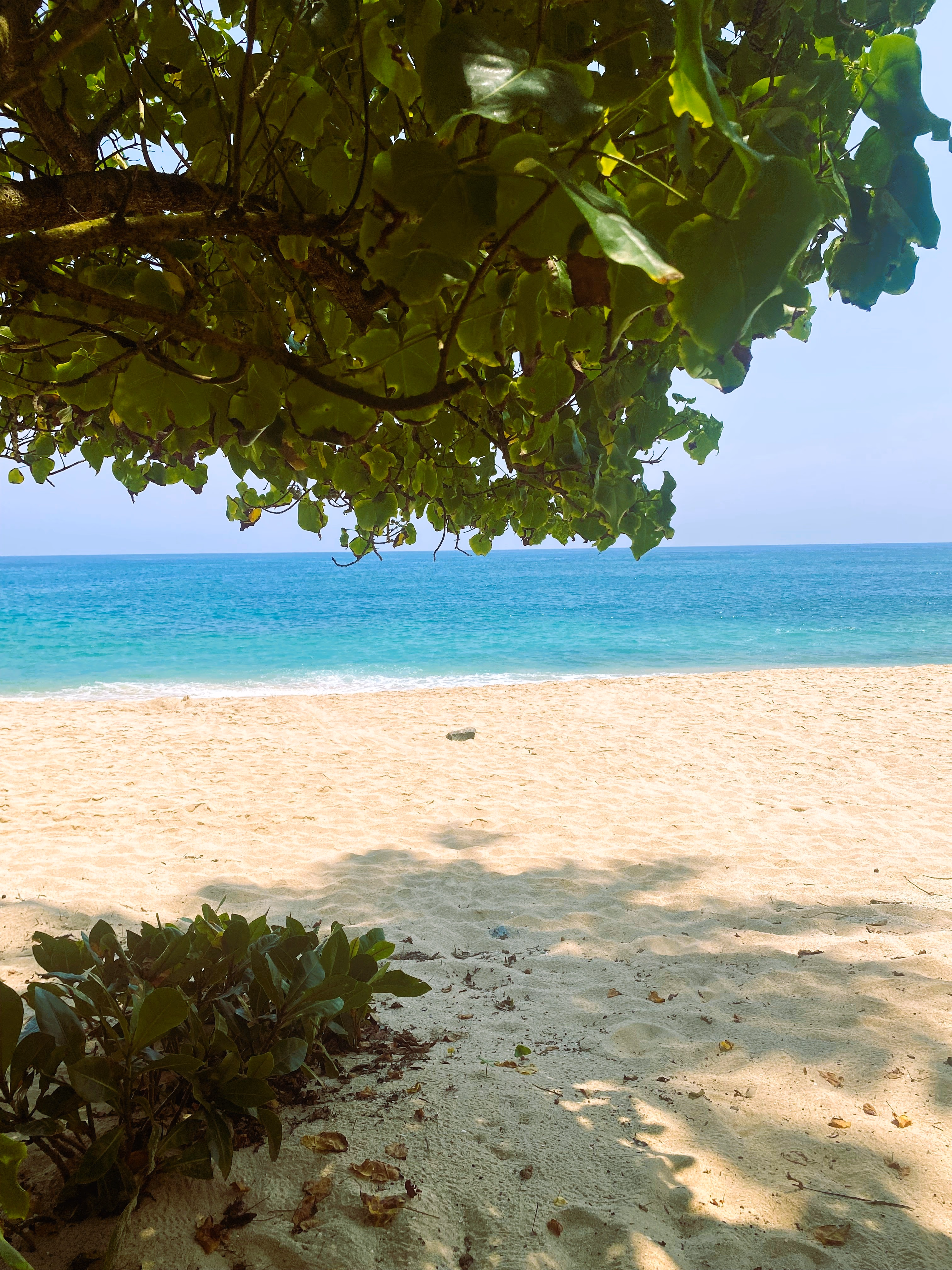 House 2 and surroundings 7