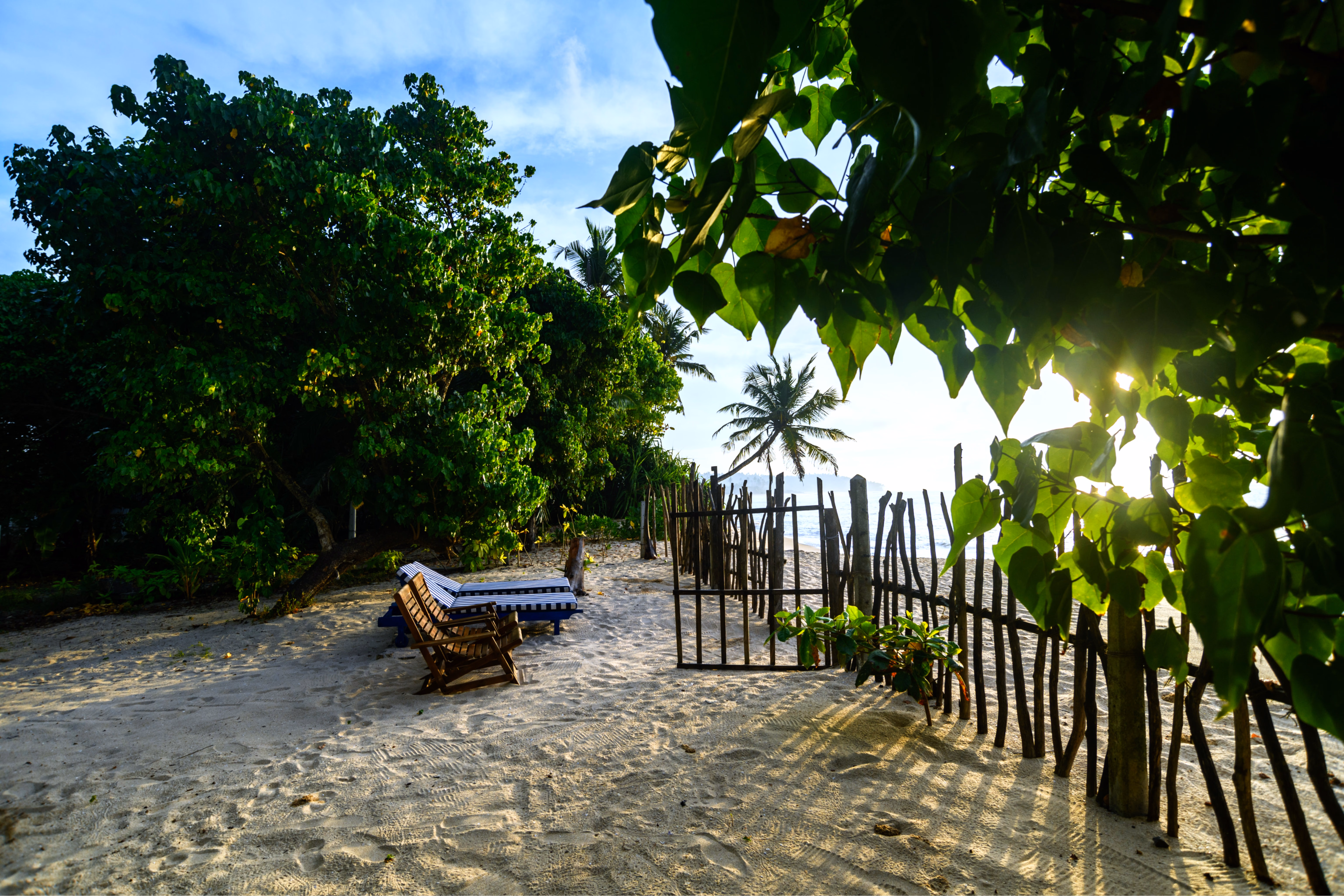 Front entrance of Magnolia House with lush greenery.